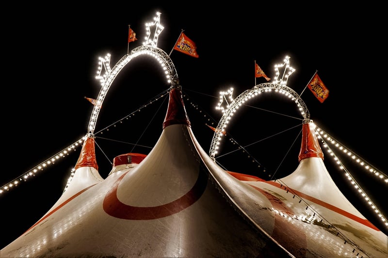 Vintage Circus Soiree